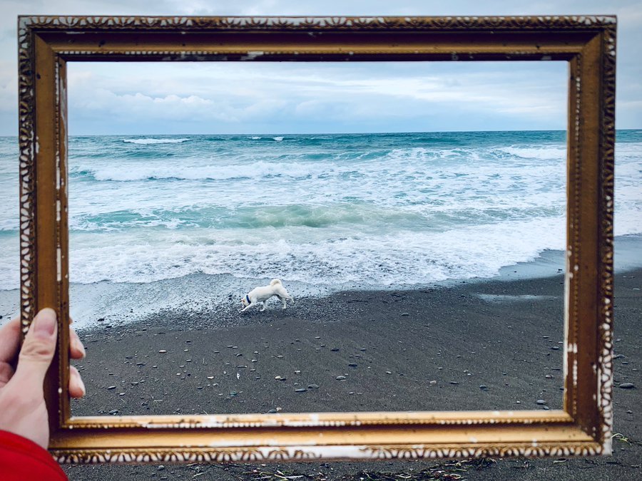 一枚の絵画のよう（画像は川村喜一＠KiichiKawamuraさん提供） 