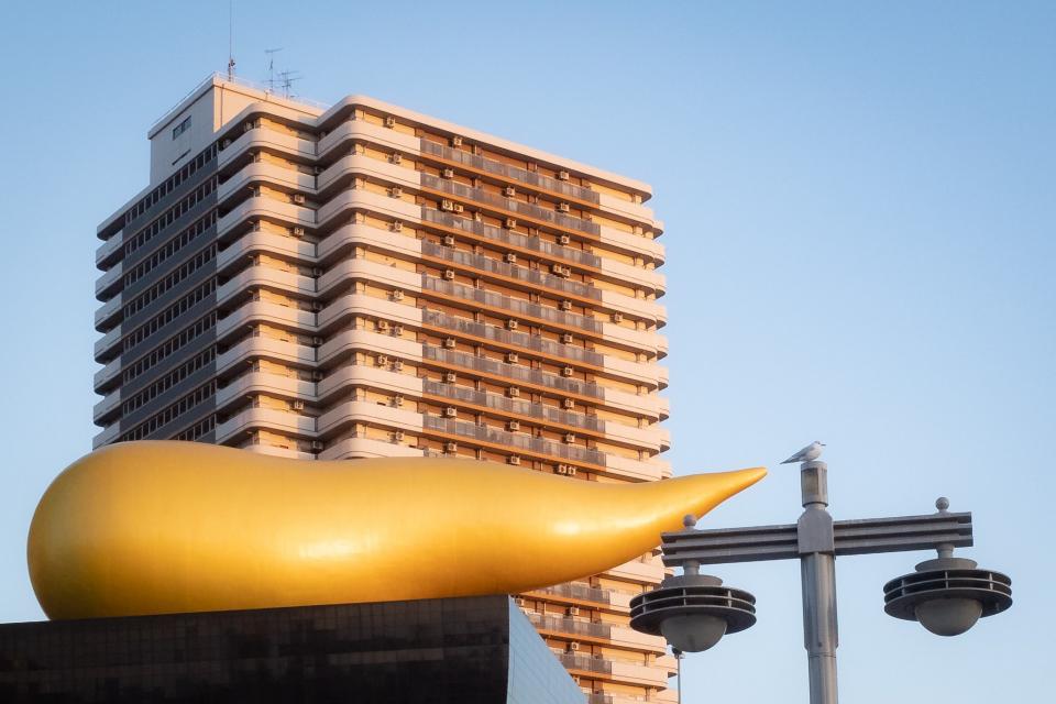 そう見える...（画像はYoshiyuki（＠_merry24）さんから）