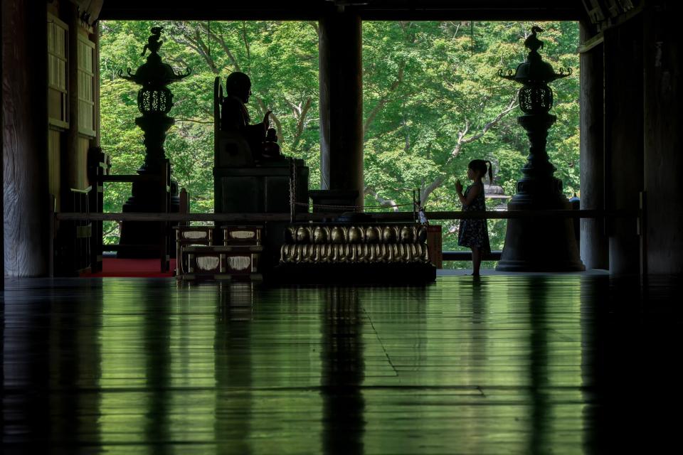 17年5月撮影（画像はしんごさんのツイートより）