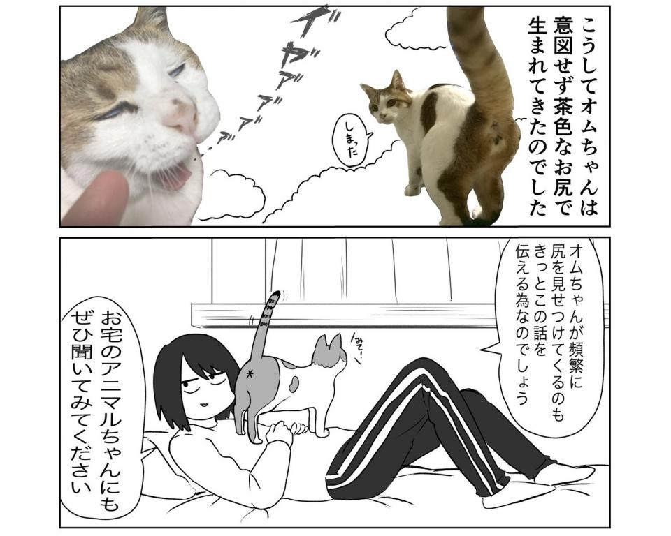 うすはるさんのツイートより