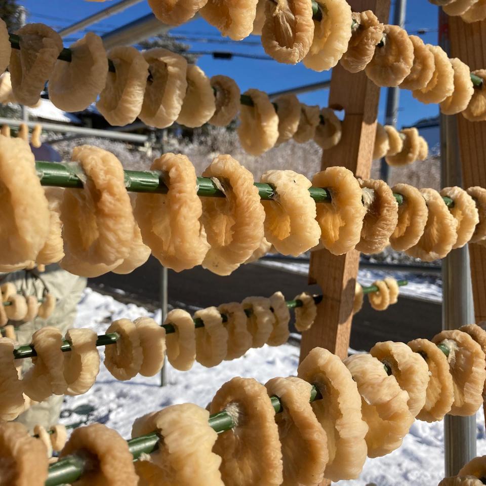 へそ大根（写真は丸森町筆甫地区Facebookページより）