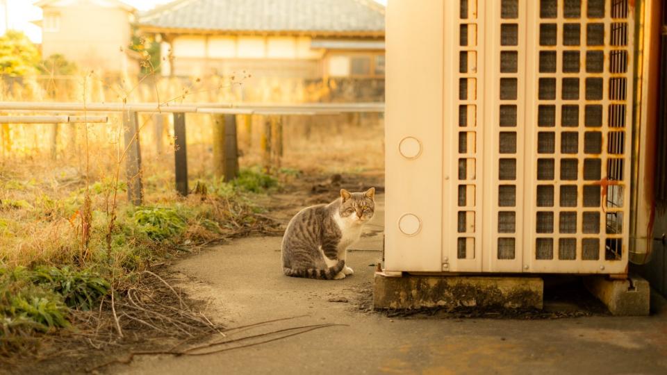 ジーッ(写真はみささんのツイートより)