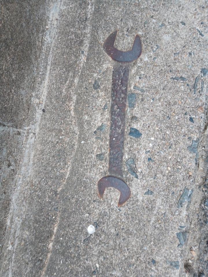 見事に埋まっている