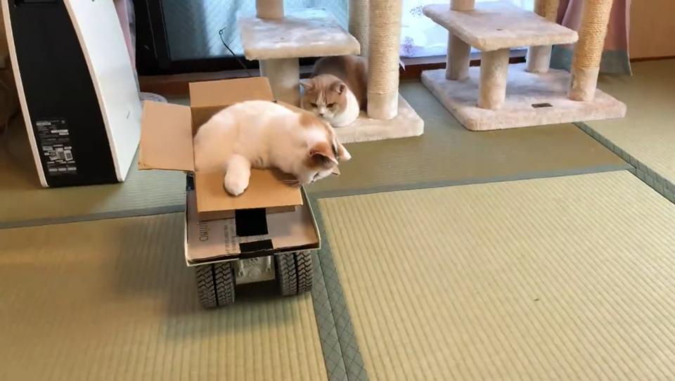 ＠jirosan77さんの映像より、編集部でキャプチャ