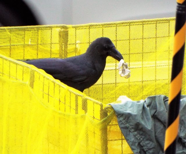 困ったときは専門家へ（画像はイメージ）