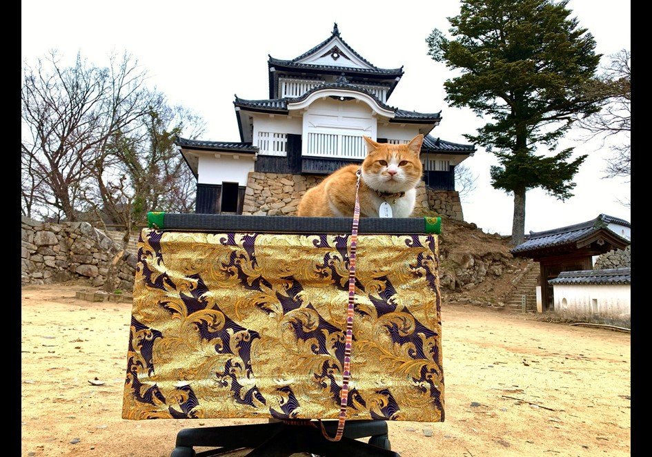 天空の城の猫城主（写真は「備中松山城 猫城主 さんじゅーろー」のツイッター（＠sanju_ro）より