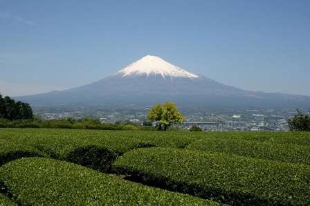 いくつ読める?静岡の難読地名【クイズ・全10問】