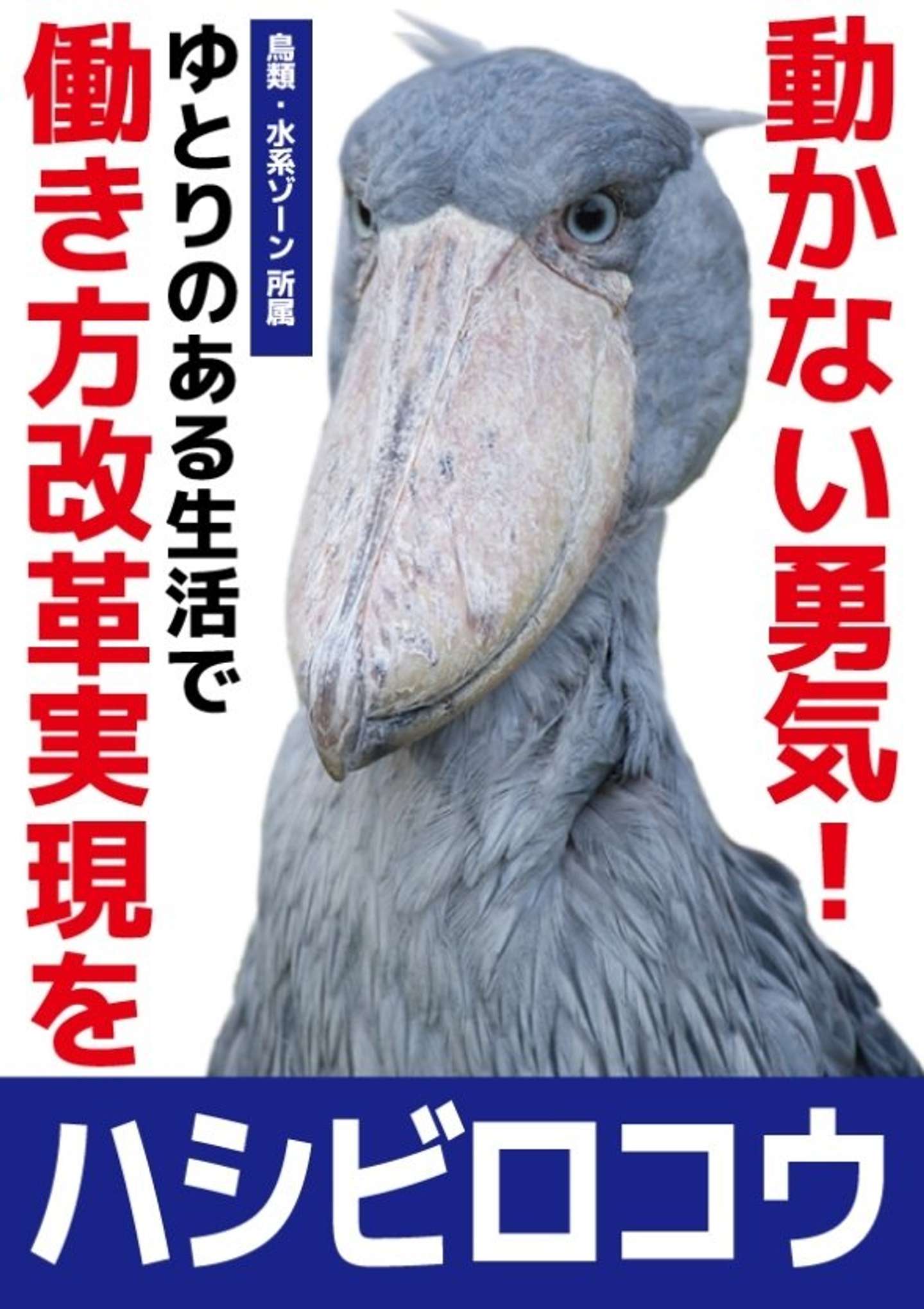 千葉市動物公園の 総選挙 が熱い 動かない勇気 訴えるハシビロコウ候補が2連覇なるか 全文表示 Jタウンネット