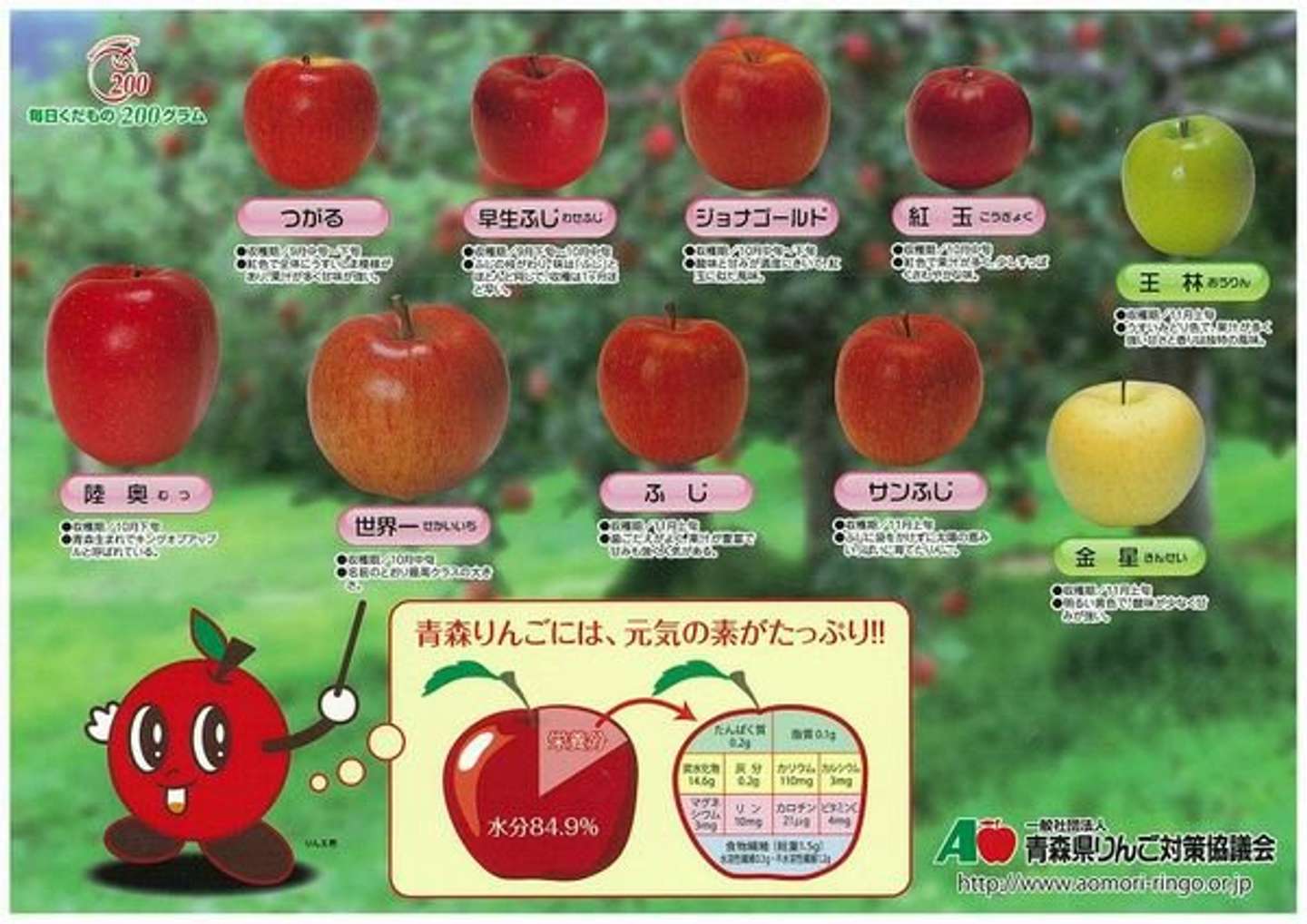 青森発の りんごの下敷き が 全国の子どもたちに配られるワケ 全文表示 Jタウンネット