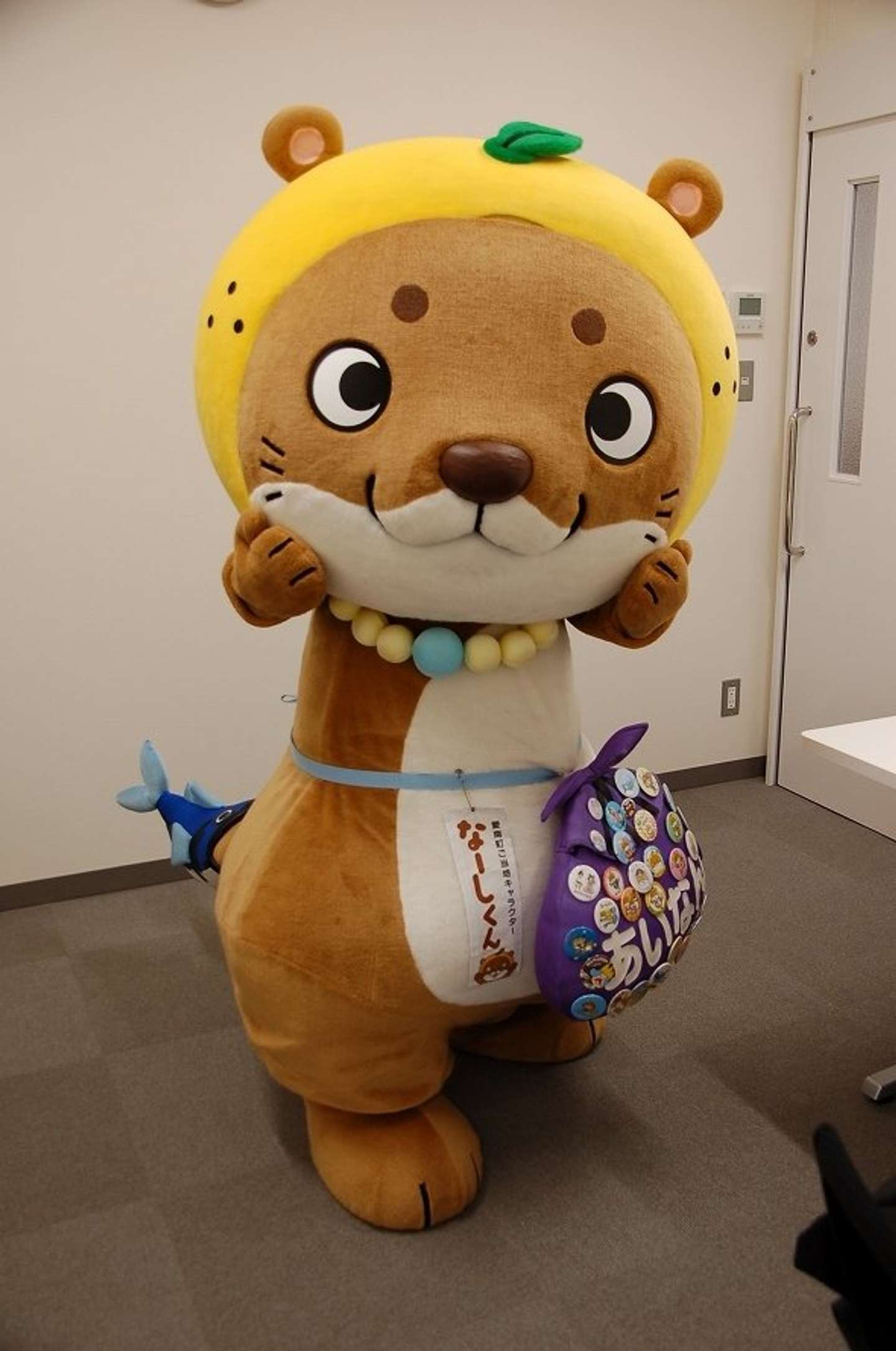 しんじょう君に続け！ 愛媛のニホンカワウソ「なーしくん」、ゆる