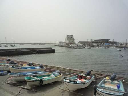 小イワシの刺身、三浦半島なら食べられる? 広島出身記者の悲願は達成されるのか
