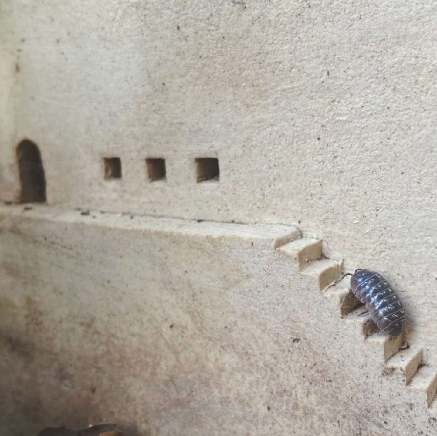 か、かわいい（画像はうさみあやか（＠ayaka182）さんから）