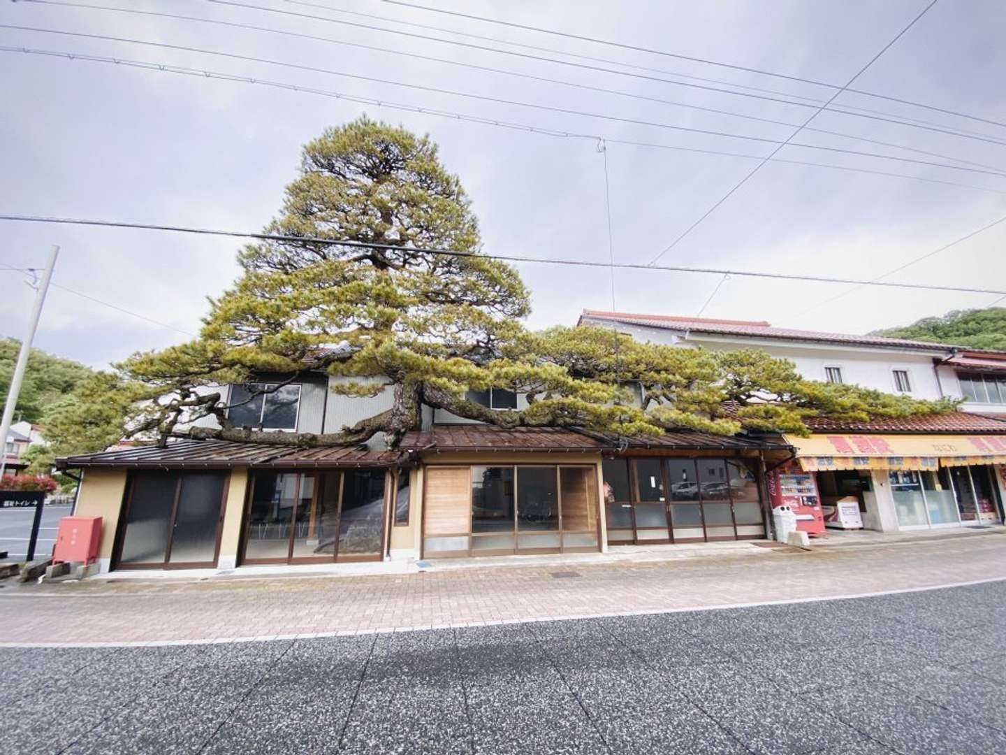 横幅もかなり広い