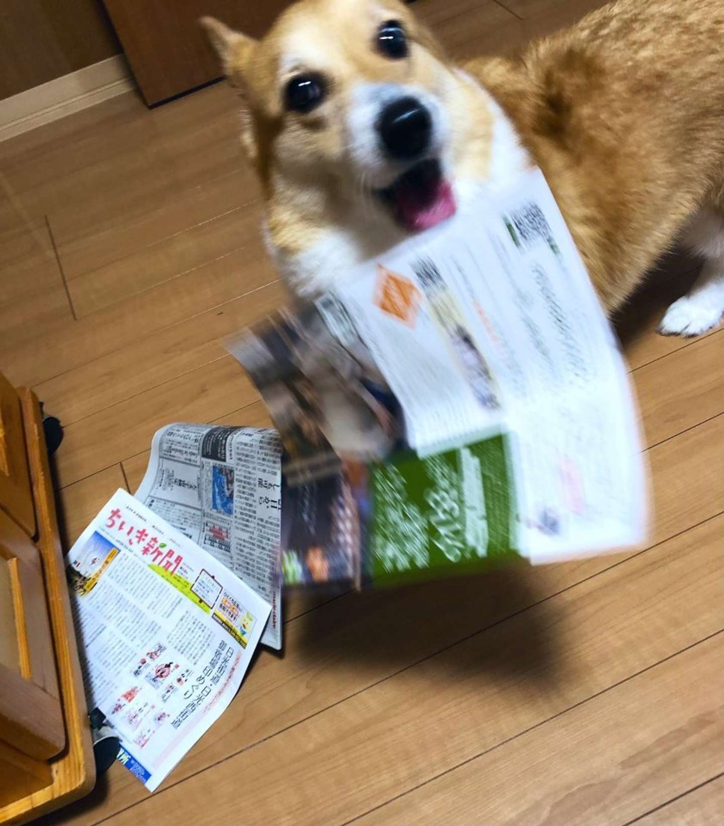 豪快にお届け（画像はしお＠BELL_1030さん提供）