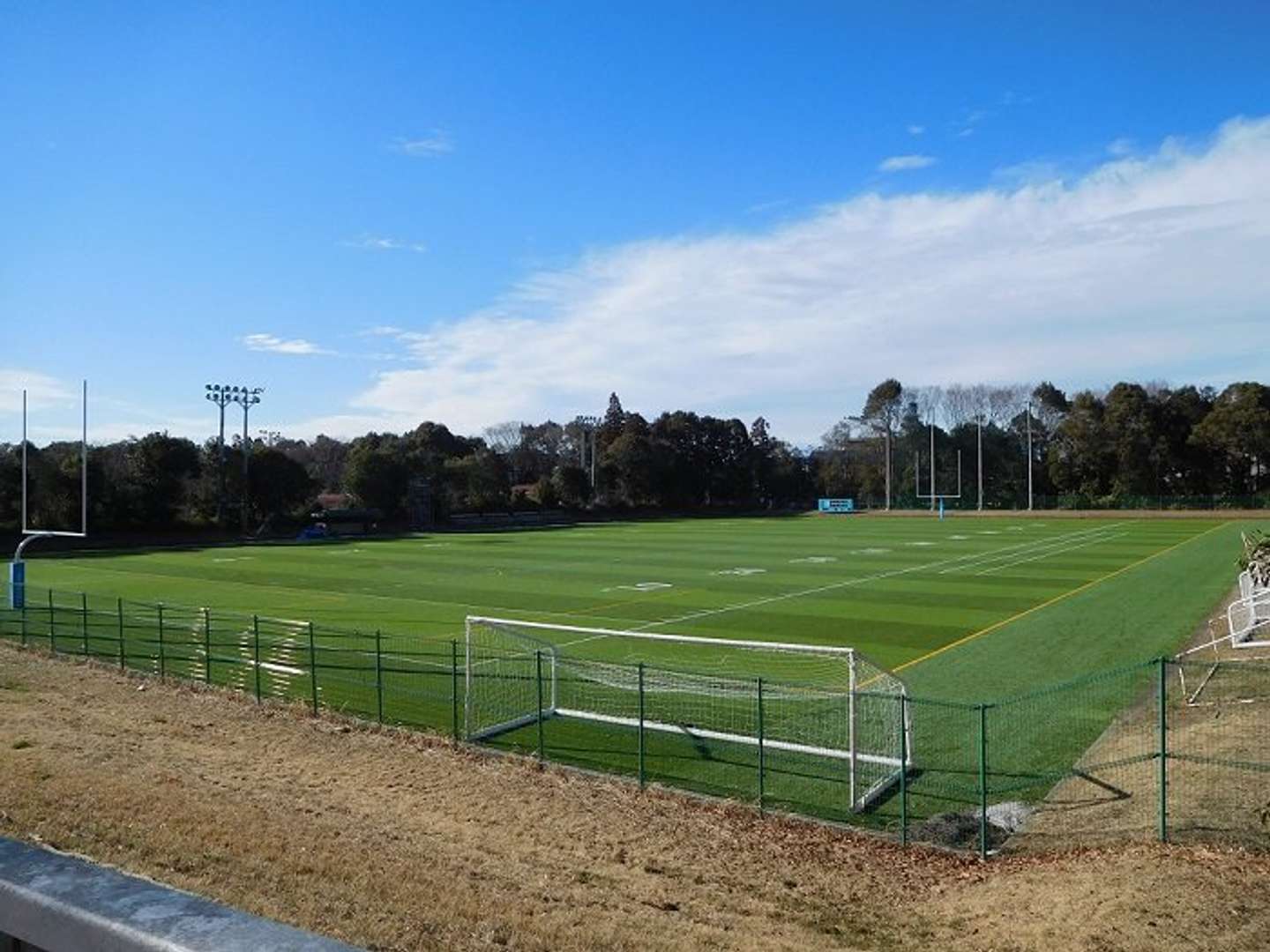 広いサッカー場まで!(Wikimedia Comonsより)