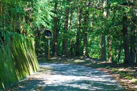 「旅行先でブレーキが故障し、車が山に激突。立ち尽くしていると2人の若者が...」（香川県・60代女性）