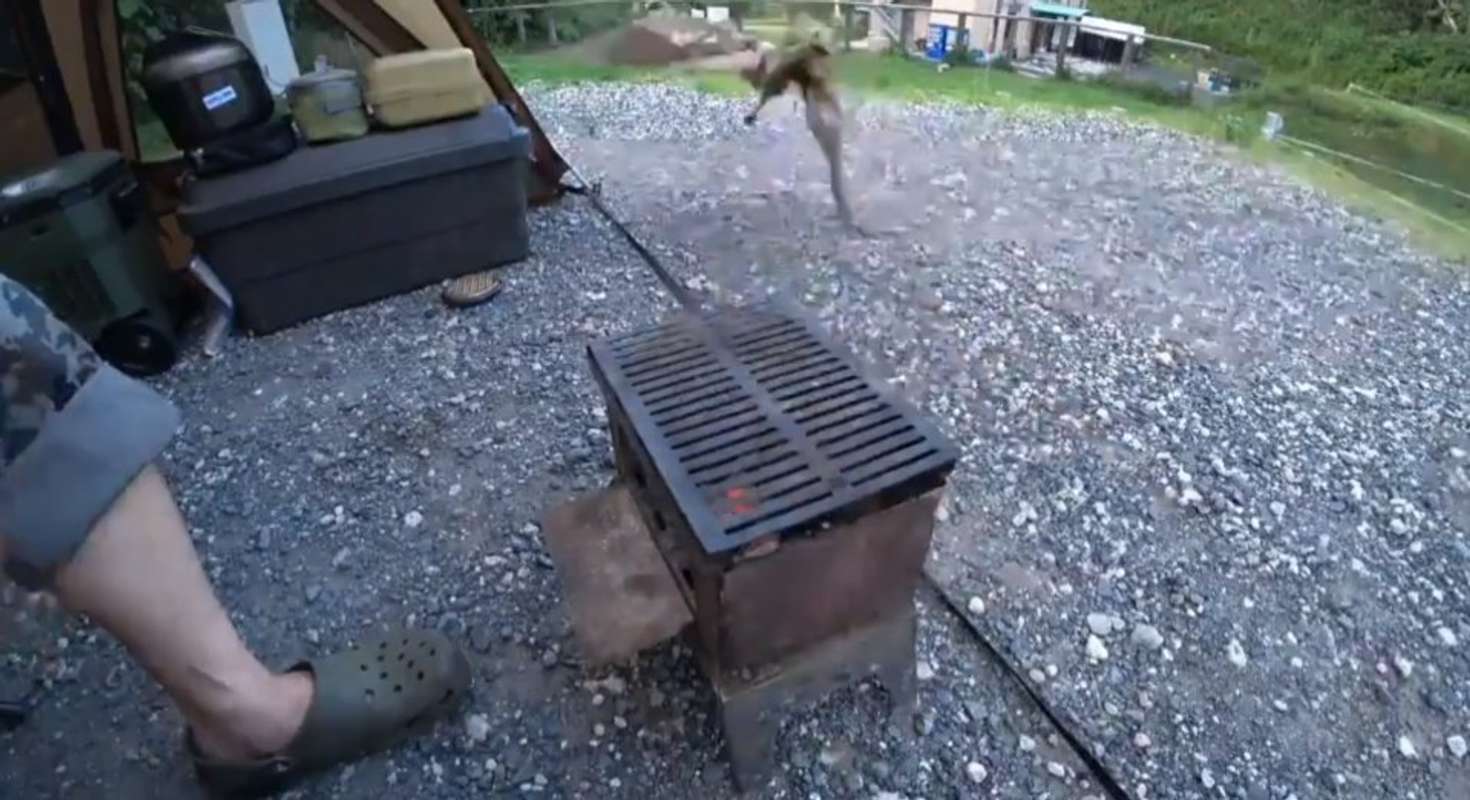 あばよっ！