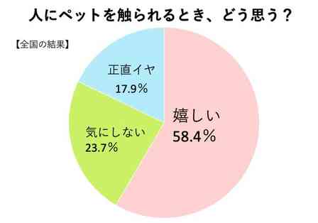ペットを触られている時、飼い主はどう思ってる? 全国調査の結果→「嬉しい」が約6割