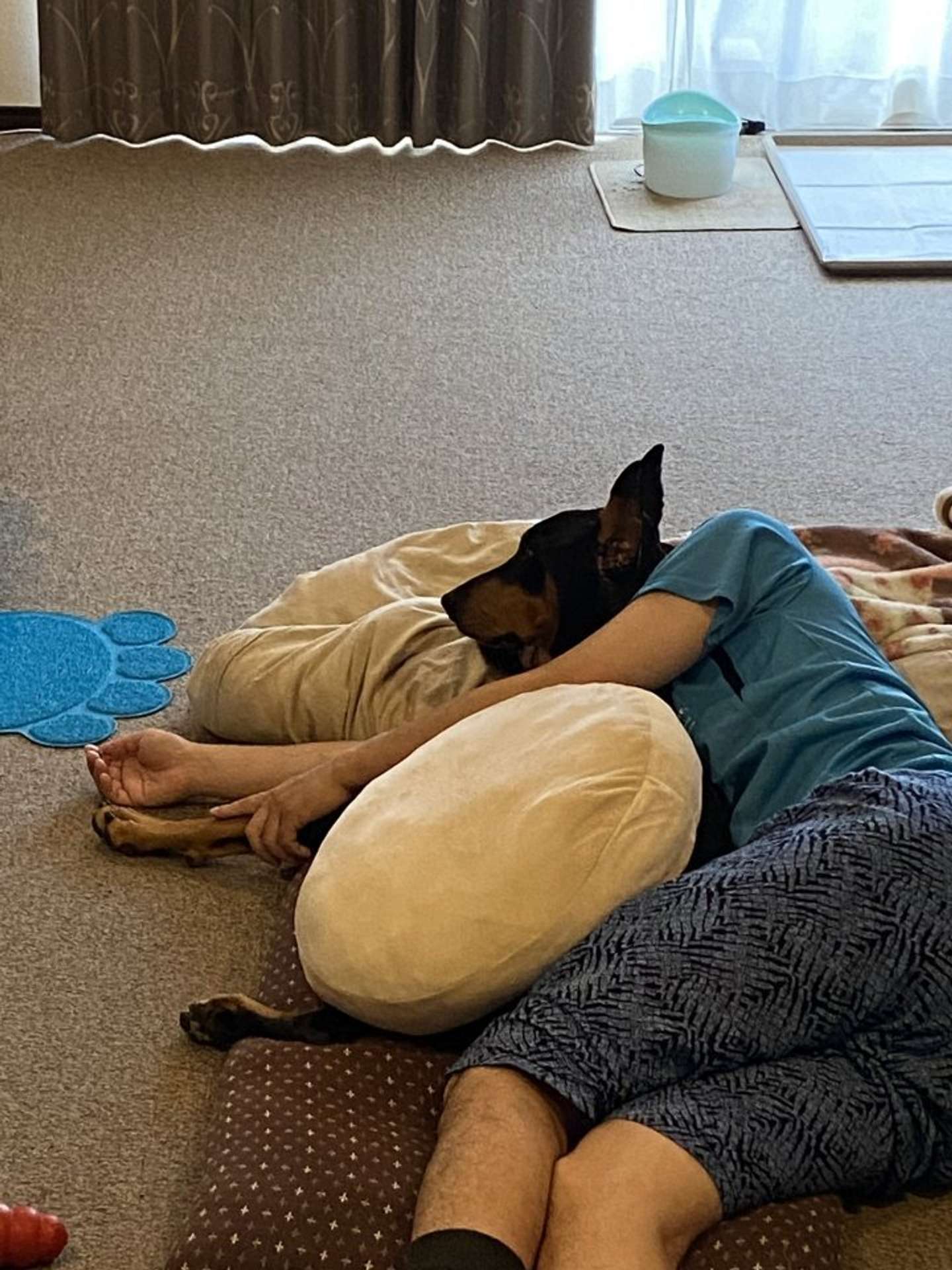 どういう状況？（画像は＠oGmF2FpoMDPc7T9さん提供）