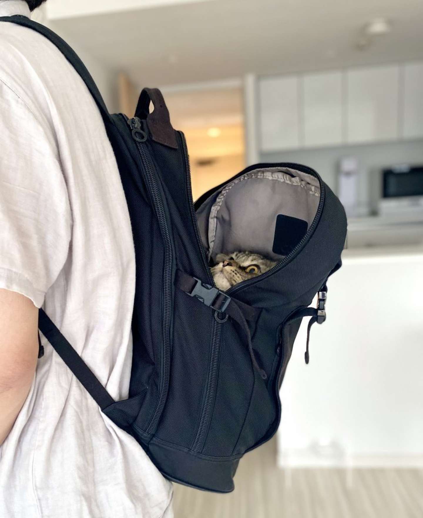 すっぽり（画像は＠meltube_catさん提供）