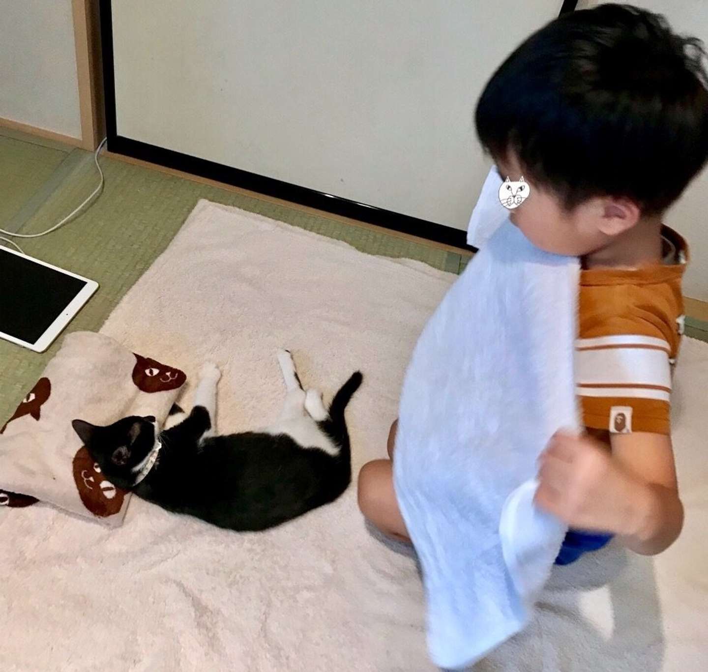 何をするのだろう（画像はなみそ（＠omochi_nam01）さんから）