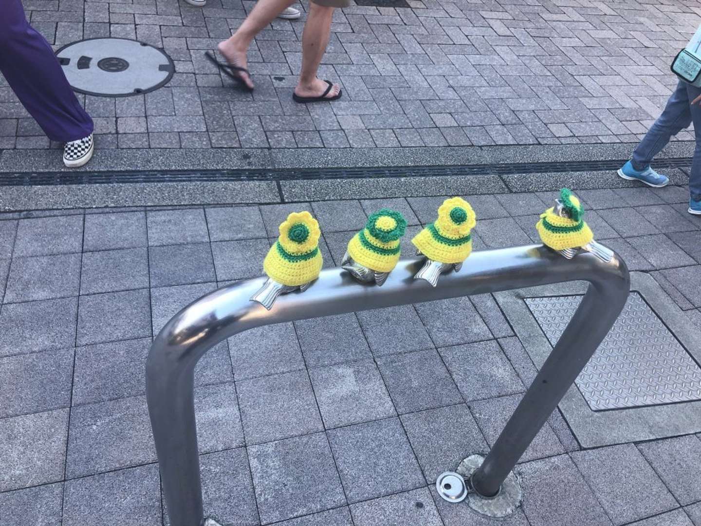 「江ノ電カラー」のピコリーノ(画像はうにさんのツイートより)