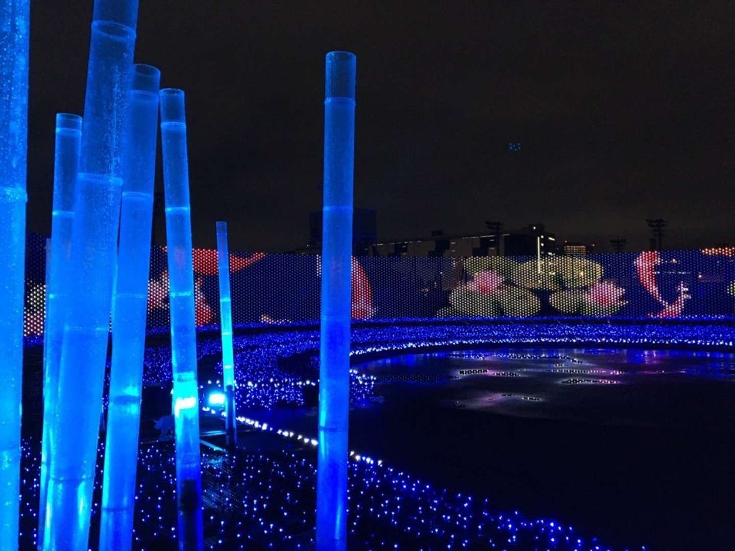 光輝く竹林の向こうには...(写真は公式ツイッターより)