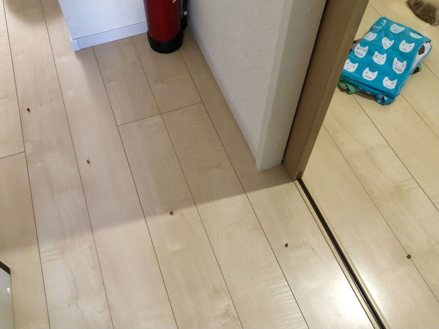 森パンツ（＠chinbrick）さんのツイートより