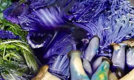 魔女が作った料理かよ... レア野菜を入れたら完成したトンデモ鍋に仰天→その味は?