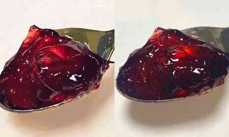 氷は 溶ける んじゃなくて 解ける んです 漢字の疑問描いた漫画にネット民当惑 全文表示 Jタウンネット