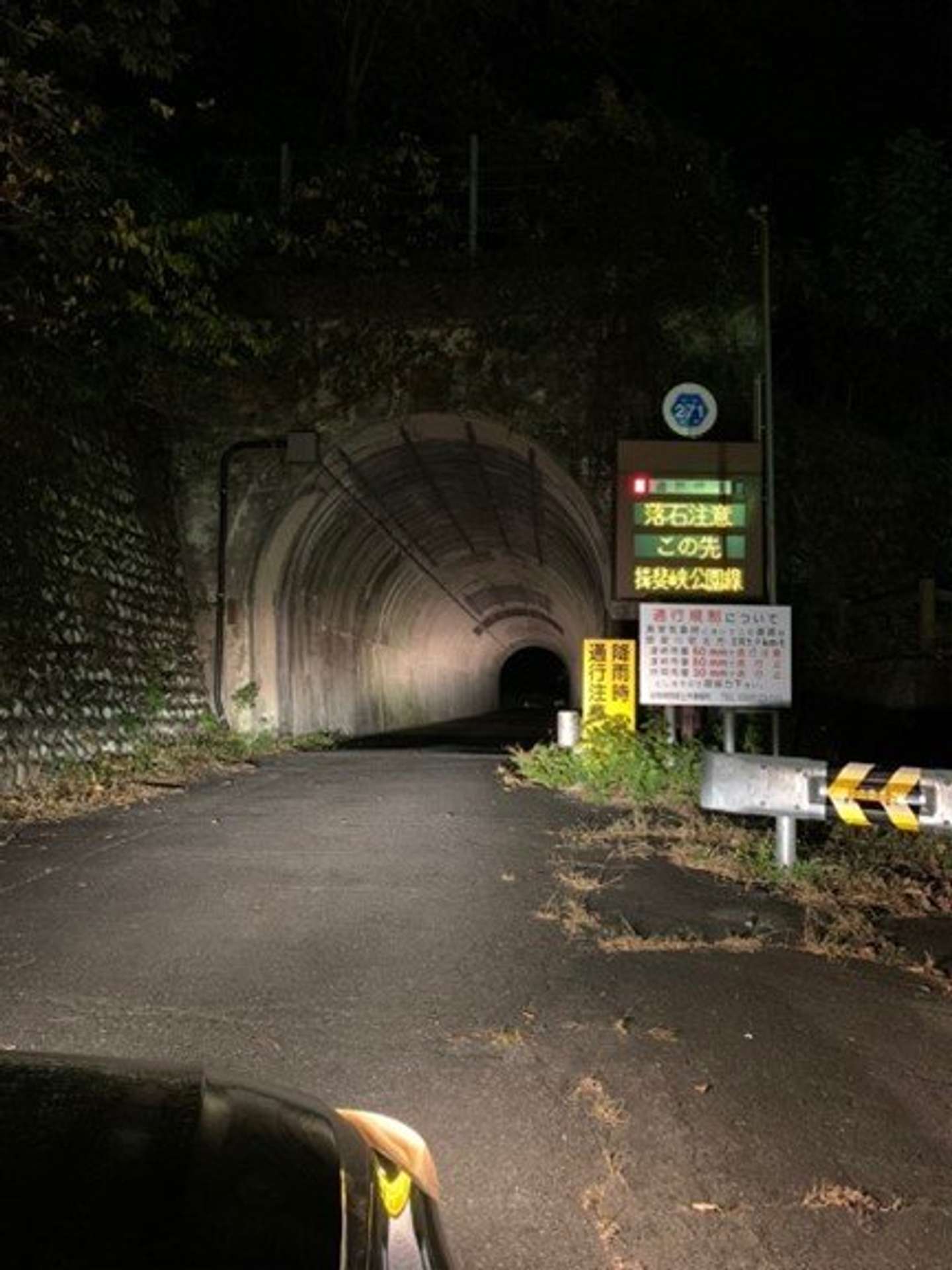 シカじゃなくても何かが出そうな雰囲気...