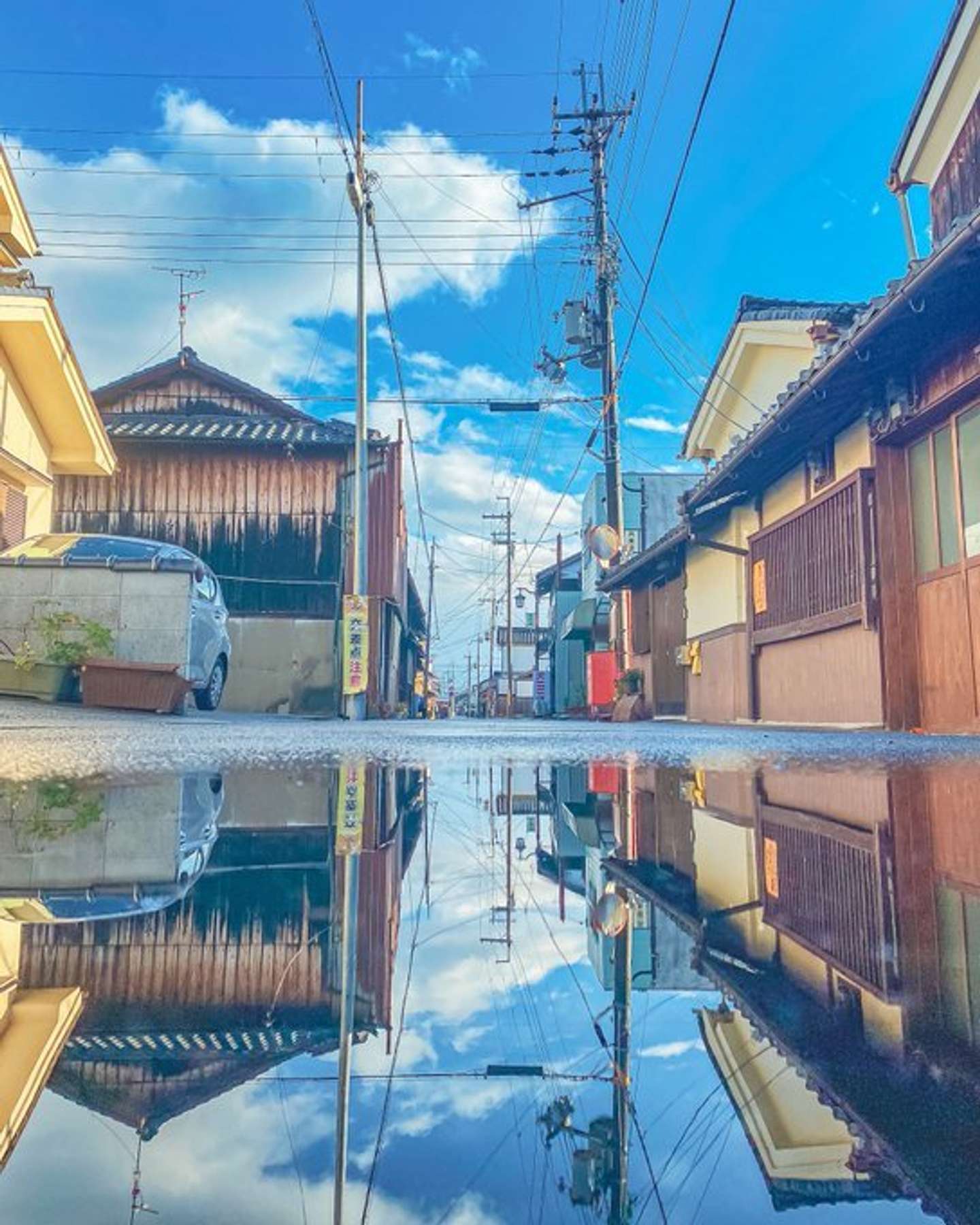 Shota(@shnimohus)さんのツイートより