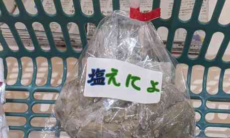 塩えにょ、あざみのとう、さわもだし...　道の駅で買った食材たちが、謎のベールに包まれすぎてる