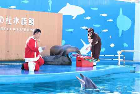 仙台うみの杜水族館のウェブサイトよりhttp://www.uminomori.jp/umino/32445/index.html