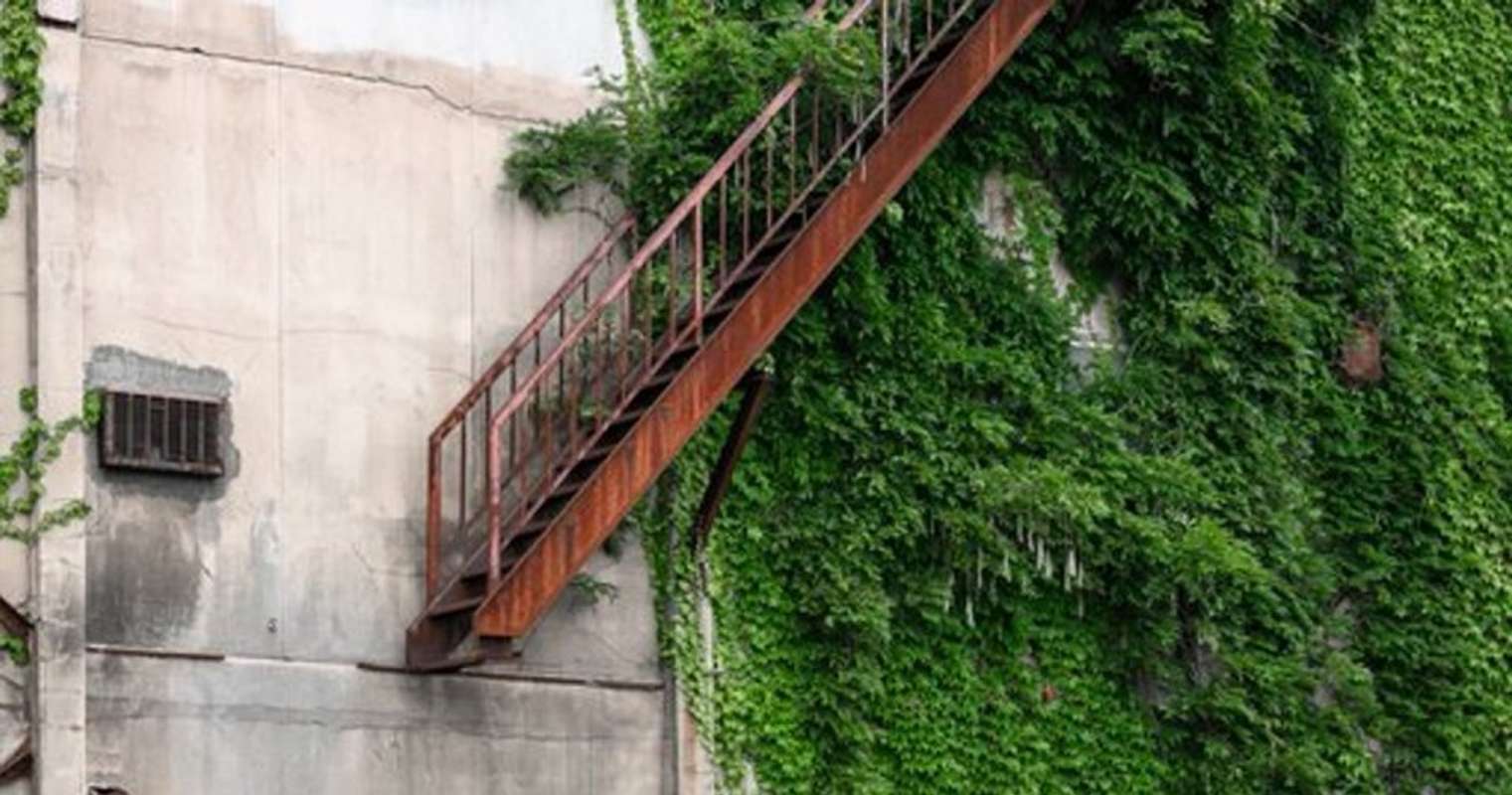 上はツタに飲み込まれ 下は途中でプツリ 廃墟の壁に残された どこにも辿りつけない階段 にゾッとする 全文表示 Jタウンネット