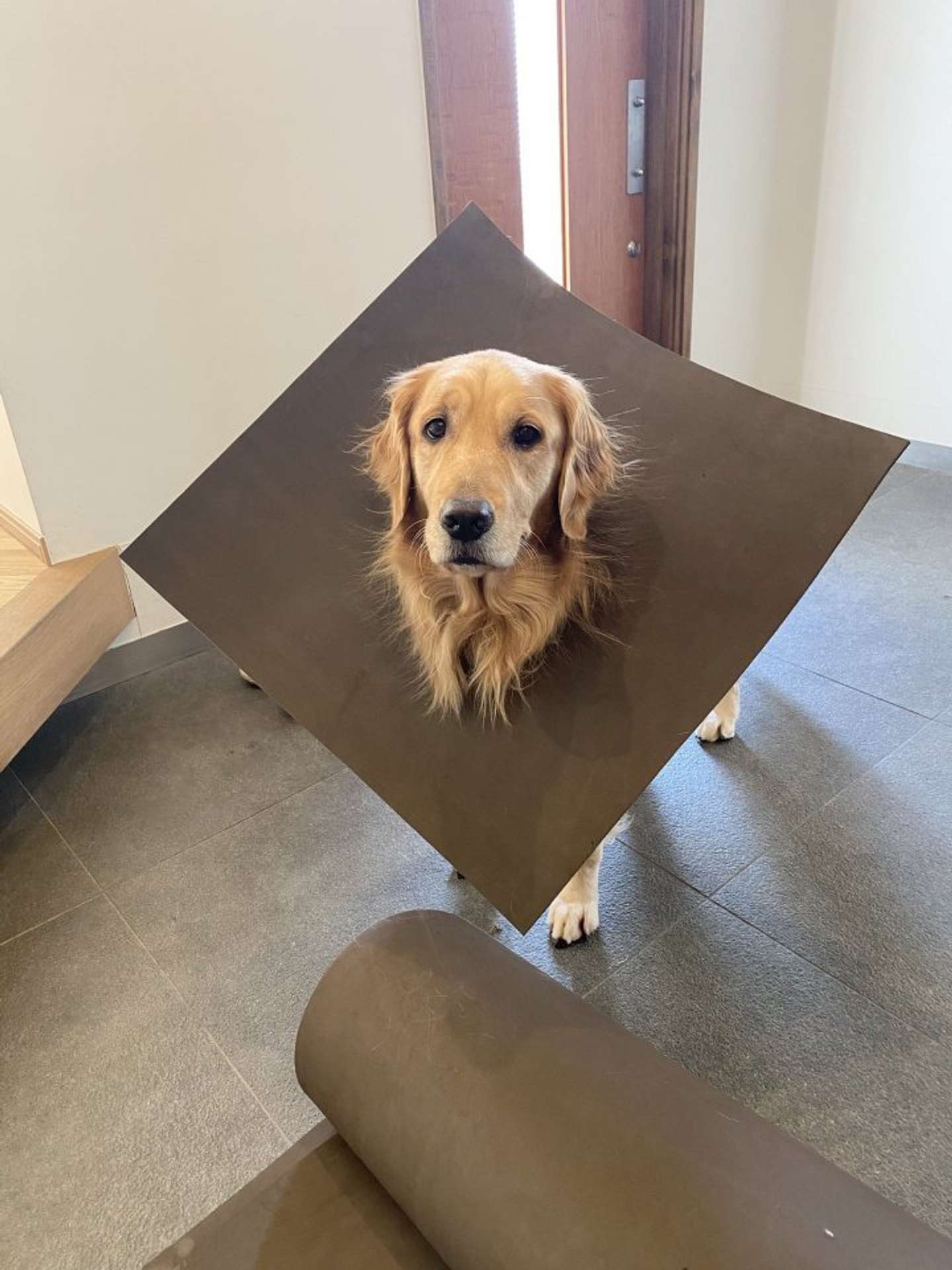 し、四角い！（画像は＠koha170405さんのツイートより、以下同）