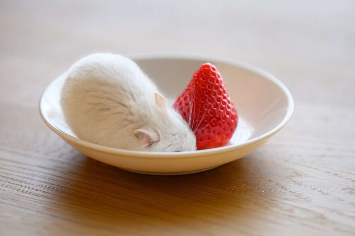 赤いイチゴと、白い......お饅頭？（画像はぱる＠gsm_iham2さんのツイートより）