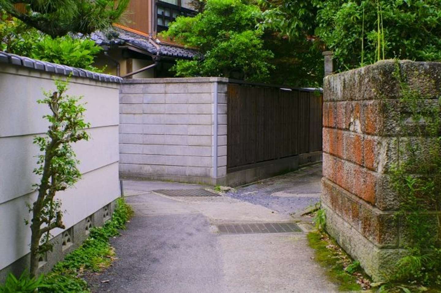 帰り道がわからなくなってしまい...（画像はイメージ）