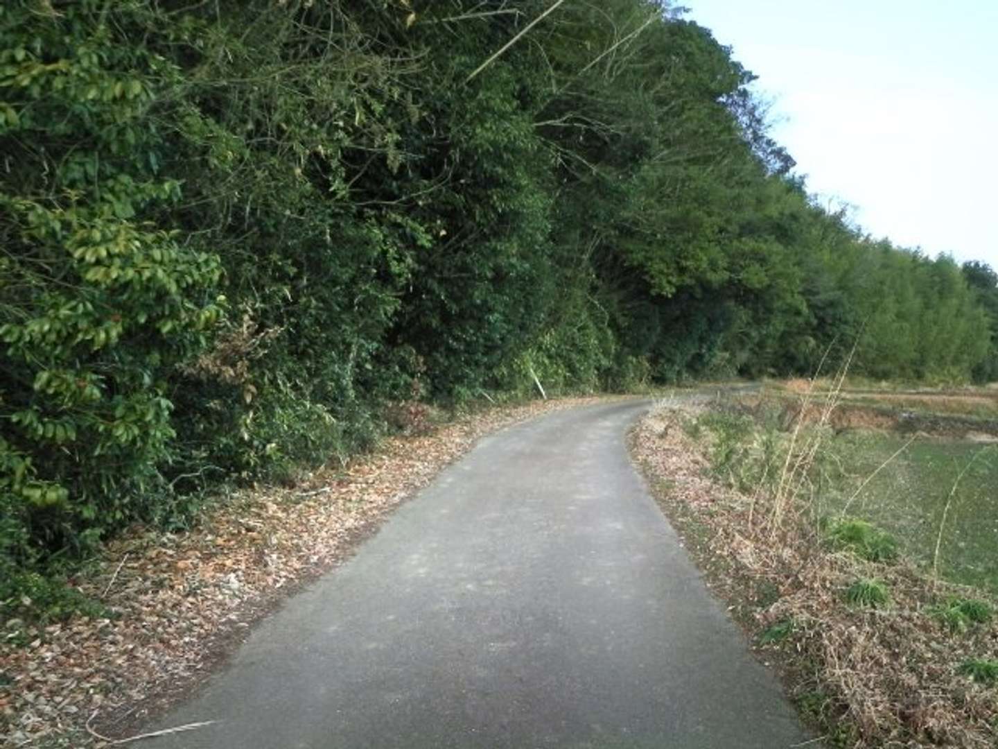 普通の車すらほとんど見当たらず...（画像はイメージ）