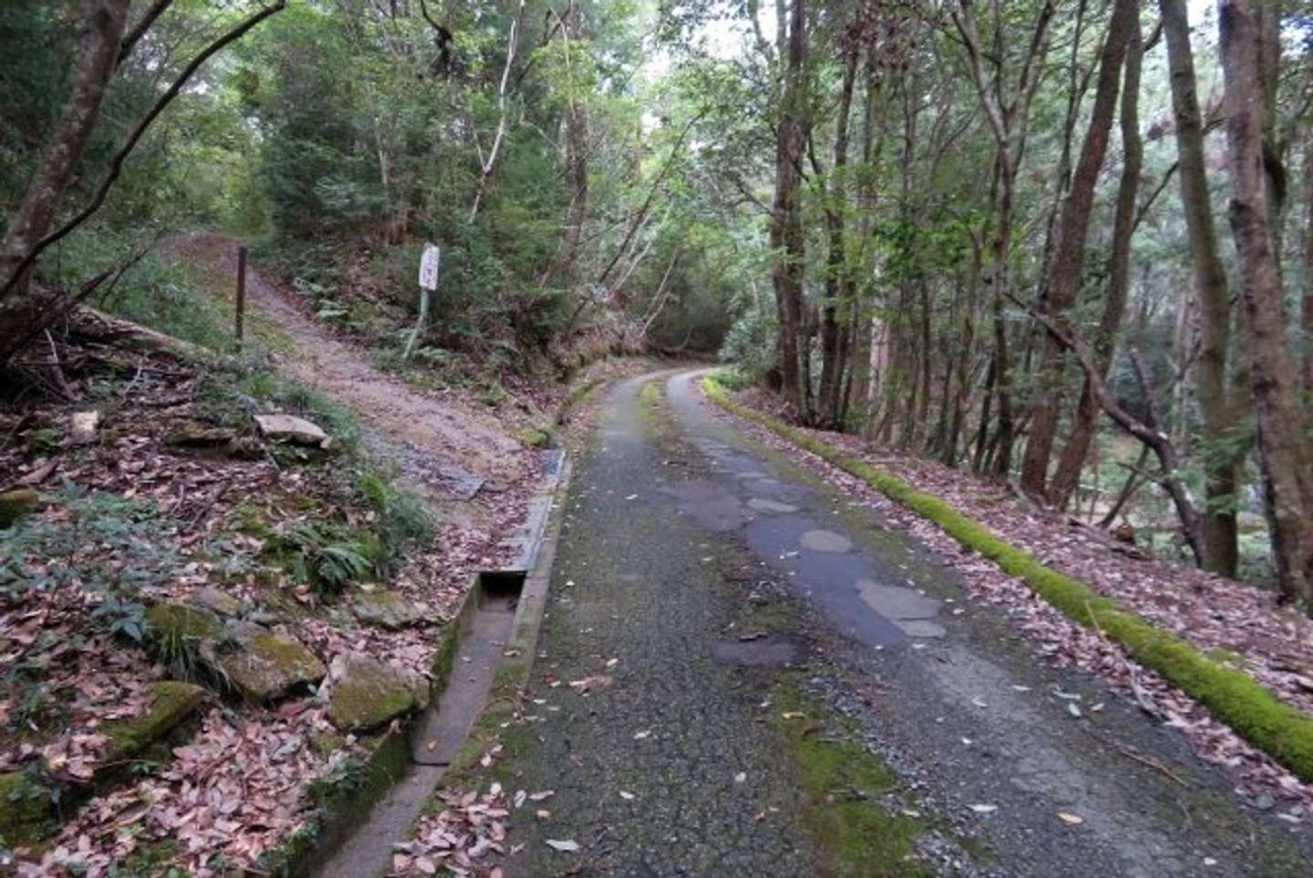 このままだと山へ...（画像はイメージ）