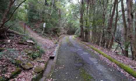 「母について歩いていくと、辿り着いたのは車が1台も通らない場所。タクシーを探してたはずなのに...」（愛知県・50代男性）