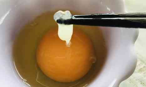 「カラザを取らないでください！」　たまご屋さんの「お願い」に反響　シアル酸が最強？キユーピーに聞いてみた 