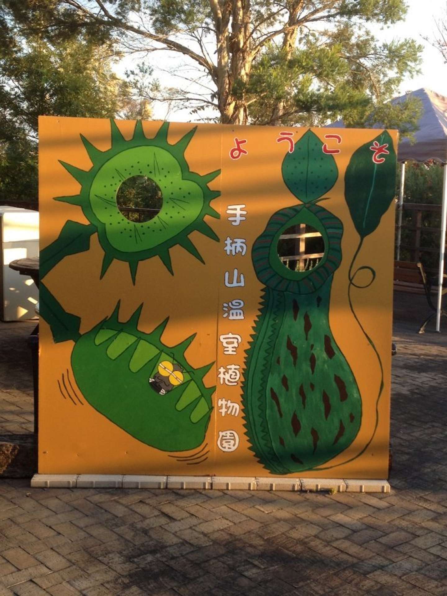 「博物月報」（＠hakubutu）さんのツイートより