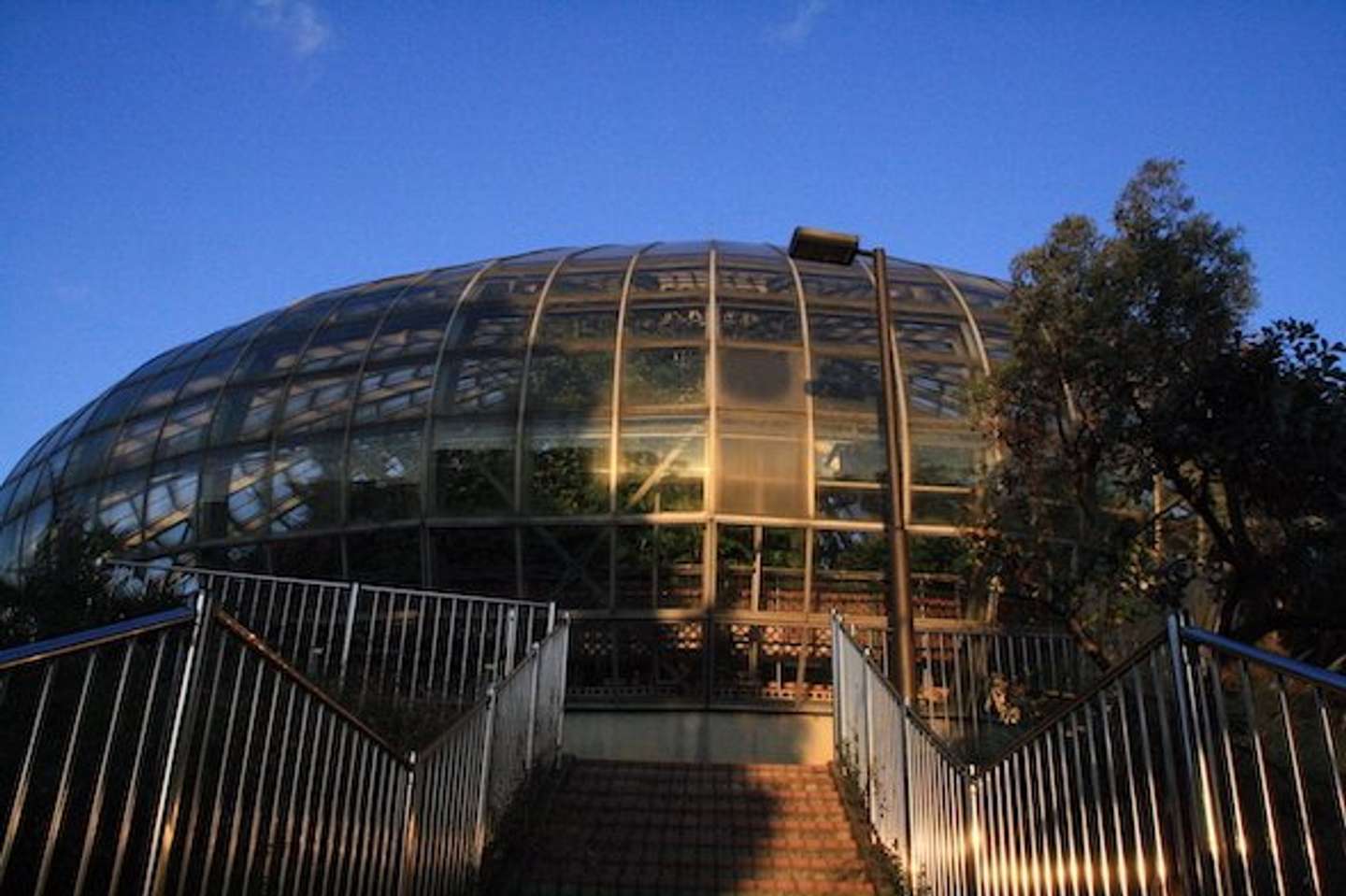 温室植物園（画像提供：「博物月報」さん）