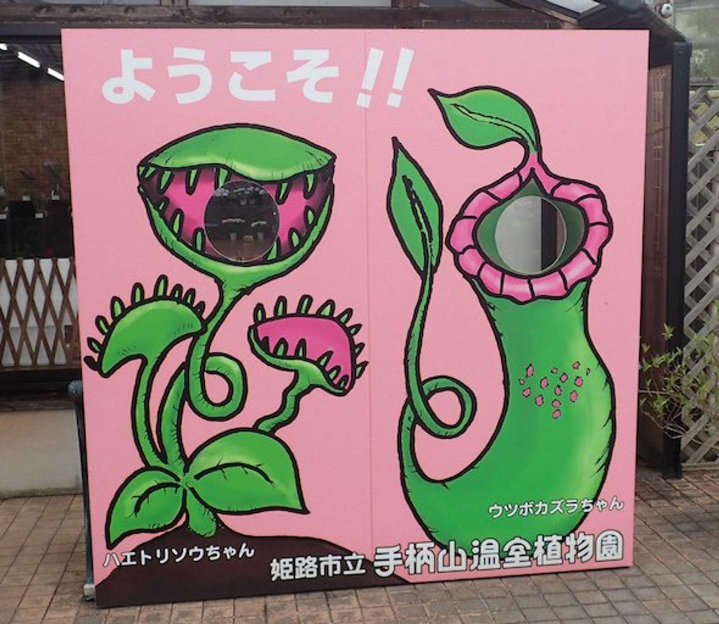 現在の顔出しパネル（画像提供：手柄山温室植物園）