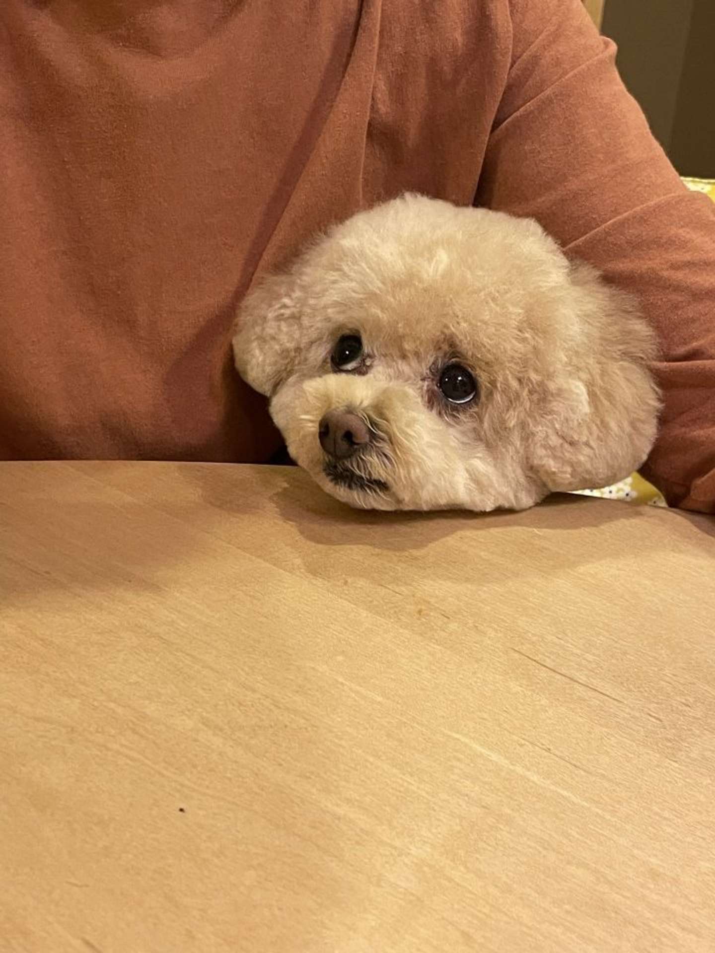 じーっ（画像はまろんさん(＠maron3eve3)さん提供）