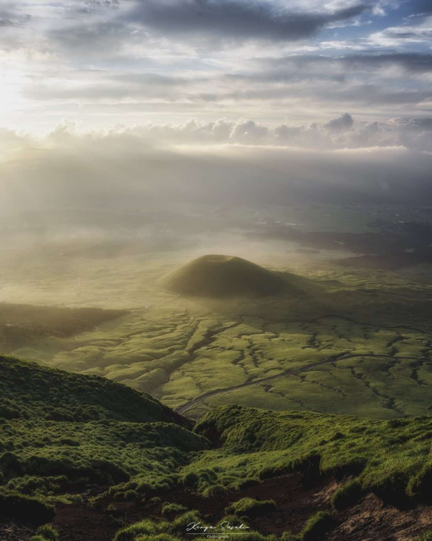 でっかい抹茶プリンだ！（画像はKenya Sasaki | NFT＠sproof7627さんのツイートより）