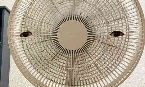 ボーッと風を浴びてたら、どこからか視線を感じる...　母も思わず驚愕の「3歳児のイタズラ」が怖すぎた