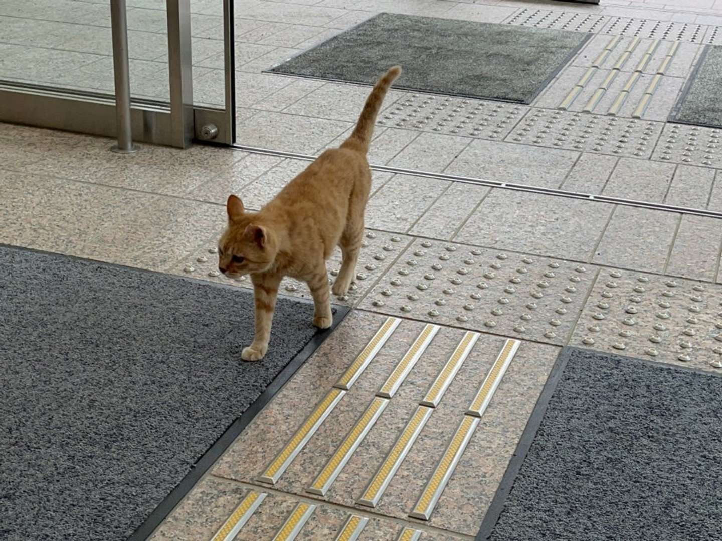 この日が初めての割にすごい慣れてそう......(画像は静岡市立登呂博物館提供、編集部でトリミング加工)
