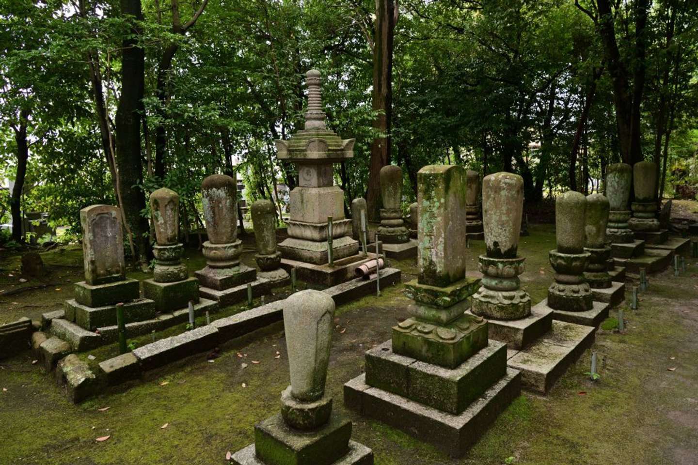 誰に聞いても竹筒の名前の由来がわからない(画像は唐招提寺@Toritsushodaiのツイートより)